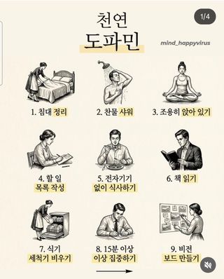 조한솔님의 자유주제·자유게시판 작성글 사진