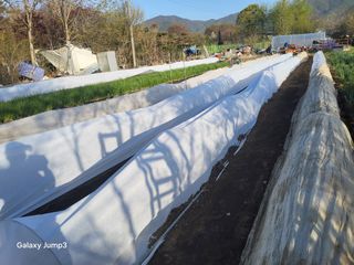 이천산수유3대농부님의 자유주제 · 자유게시판 작성글 사진