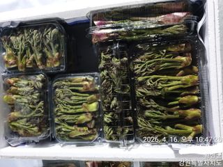 이유영님의 자유주제 · 자유게시판 작성글 사진