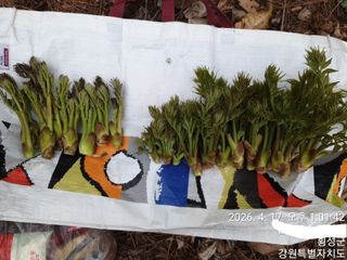 이유영님의 자유주제 · 자유게시판 작성글 사진