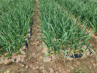 김정기 님의 자유주제 · 자유게시판 작성글 사진