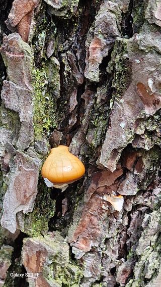 이종수님의 자유주제 · 자유게시판 작성글 사진