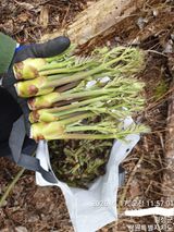 이유영님의 자유주제·자유게시판 작성글 사진