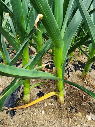 김정기 님의 자유주제 · 자유게시판 작성글 사진