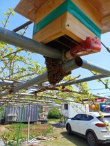 최정윤님의 자유주제·자유게시판 작성글 사진