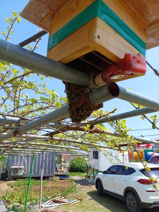 최정윤님의 자유주제 · 자유게시판 작성글 사진