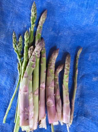 권병☆님의 자유주제 · 자유게시판 작성글 사진