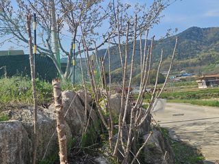 김시현 님의 자유주제 · 자유게시판 작성글 사진