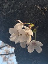 최동수님의 자유주제·자유게시판 작성글 사진