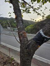 김용대님의 자유주제·자유게시판 작성글 사진