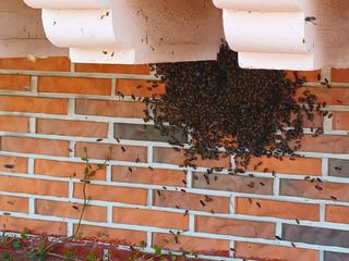 최정윤님의 자유주제 · 자유게시판 작성글 사진