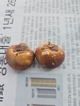 팜모닝 자유주제·자유게시판 게시글 이미지