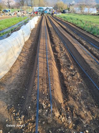 이천산수유3대농부님의 자유주제 · 자유게시판 작성글 사진