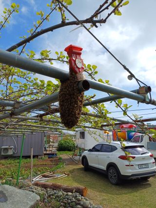 최정윤님의 자유주제 · 자유게시판 작성글 사진