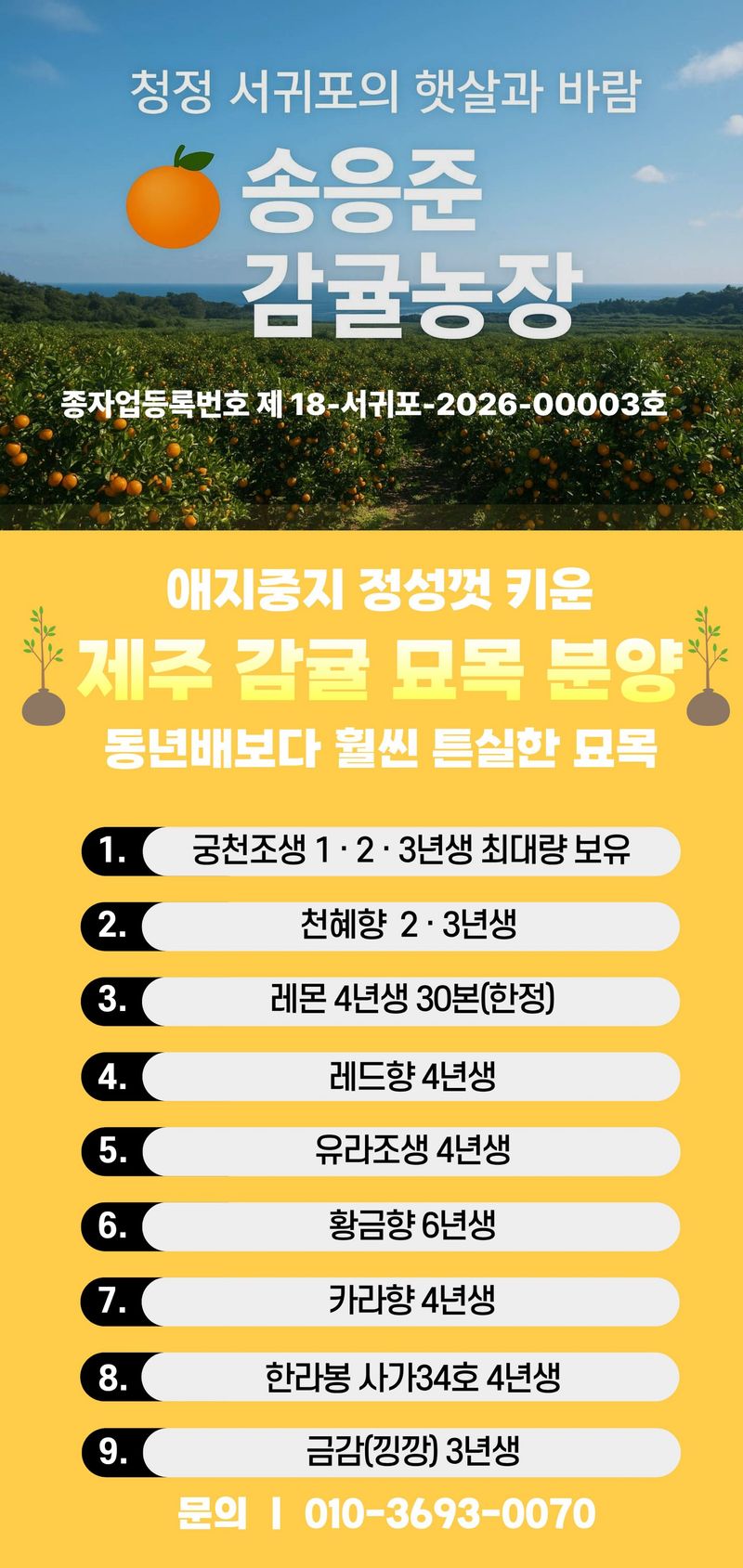 송응준님의 장터 판매 상품 [감귤묘목팝니다 ] 첨부 사진