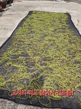 팜모닝 자유주제·자유게시판 게시글 이미지