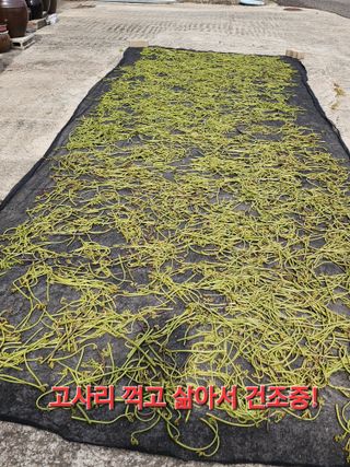 김정기 님의 자유주제 · 자유게시판 작성글 사진