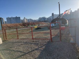 김종진 님의 자유주제 · 자유게시판 작성글 사진