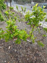 김용대님의 자유주제·자유게시판 작성글 사진