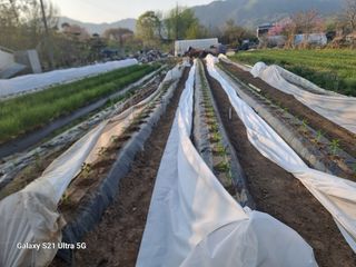 이천산수유3대농부님의 자유주제 · 자유게시판 작성글 사진