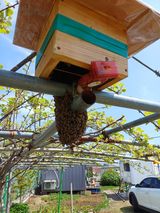 최정윤님의 자유주제·자유게시판 작성글 사진