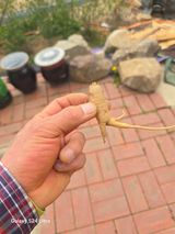 팜모닝 자유주제·자유게시판 게시글 이미지