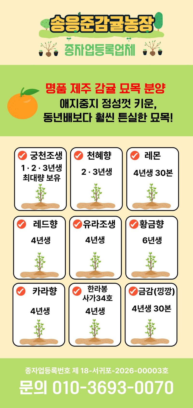 송응준님의 장터 판매 상품 [감귤묘목팝니다 ] 첨부 사진