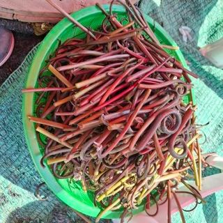 오영도님의 자유주제 · 자유게시판 작성글 사진