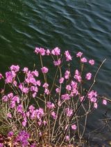 최동수님의 자유주제·자유게시판 작성글 사진