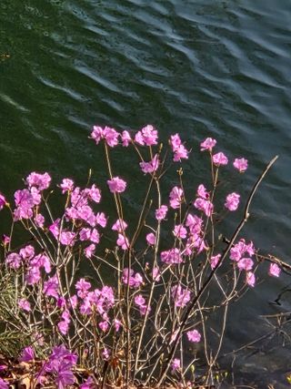 최동수님의 자유주제 · 자유게시판 작성글 사진