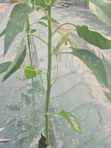 김혜순님의 자유주제·자유게시판 작성글 사진