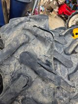 팜모닝 팜모닝공식·농업뉴스 게시글 이미지