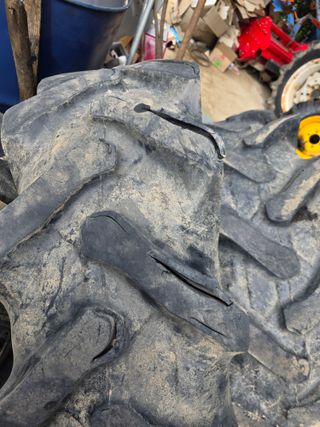 상추8691님의 팜모닝공식 · 농업뉴스 작성글 사진