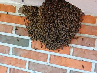 최정윤님의 자유주제 · 자유게시판 작성글 사진