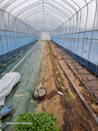 이천산수유3대농부님의 자유주제 · 자유게시판 작성글 사진