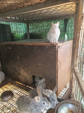 김영복님의 작성글 사진