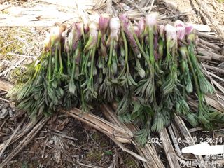 이유영님의 자유주제 · 자유게시판 작성글 사진