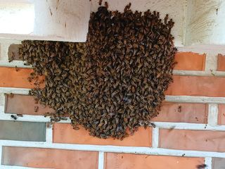 최정윤님의 자유주제 · 자유게시판 작성글 사진