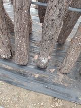 팜모닝 자유주제·자유게시판 게시글 이미지