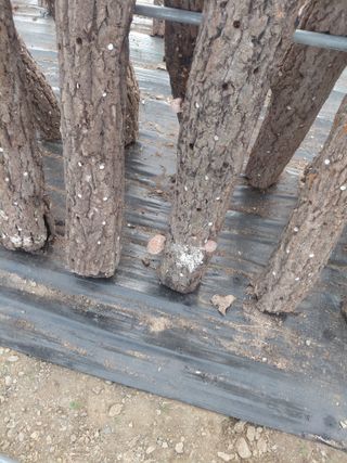 김종진 님의 자유주제·자유게시판 작성글 사진