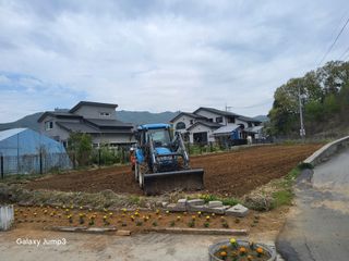 이천산수유3대농부님의 자유주제 · 자유게시판 작성글 사진