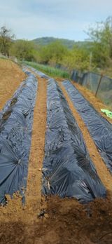 초보퍼머5도2촌준비님의 자유주제·자유게시판 작성글 사진