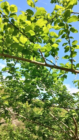 초보 구찌뽕님의 자유주제·자유게시판 작성글 사진