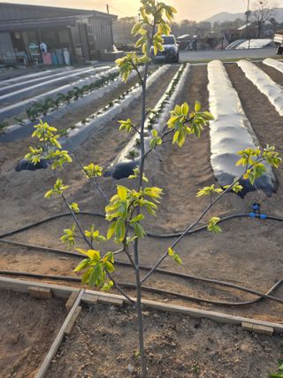 서곤님의 자유주제 · 자유게시판 작성글 사진