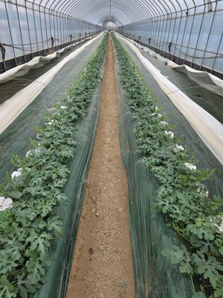 최대석님의 자유주제 · 자유게시판 작성글 사진