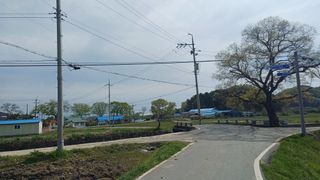 박신영님의 자유주제 · 자유게시판 작성글 사진