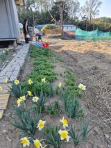 Kns4324님의 자유주제·자유게시판 작성글 사진