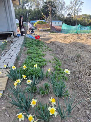 Kns4324님의 자유주제 · 자유게시판 작성글 사진