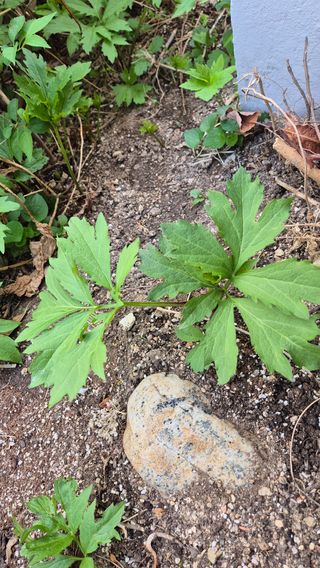 이용우님의 자유주제 · 자유게시판 작성글 사진