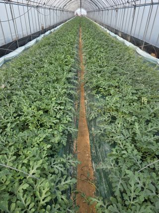 최대석님의 자유주제 · 자유게시판 작성글 사진